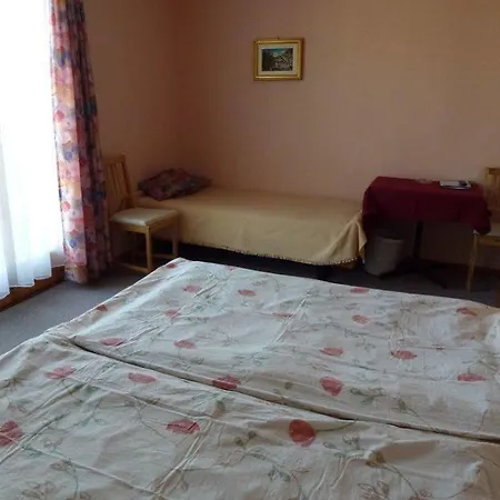 酒店 Casa Annita 洛迦诺